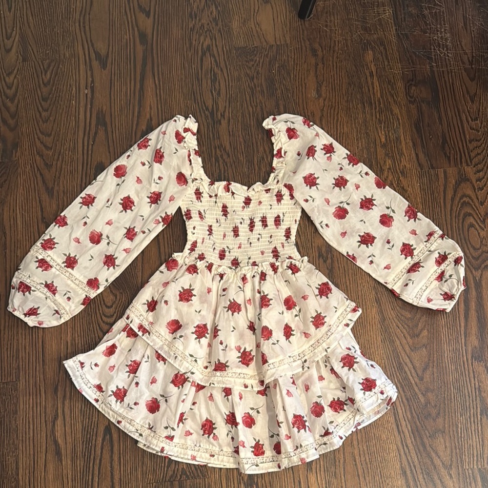 Altar'd State mini ruffle dress never worn